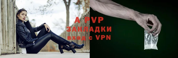 ПСИЛОЦИБИНОВЫЕ ГРИБЫ Белокуриха