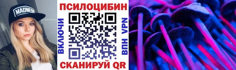 Псилоцибиновые грибы Psilocybe  купить наркоту  Тамбов 